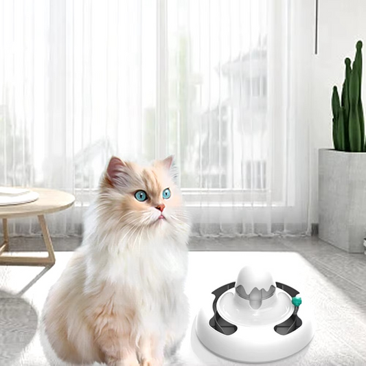 Interactive Electric Cat Toy – Rotating Balls, Roller Tracks & Feeder for Intelligent Play