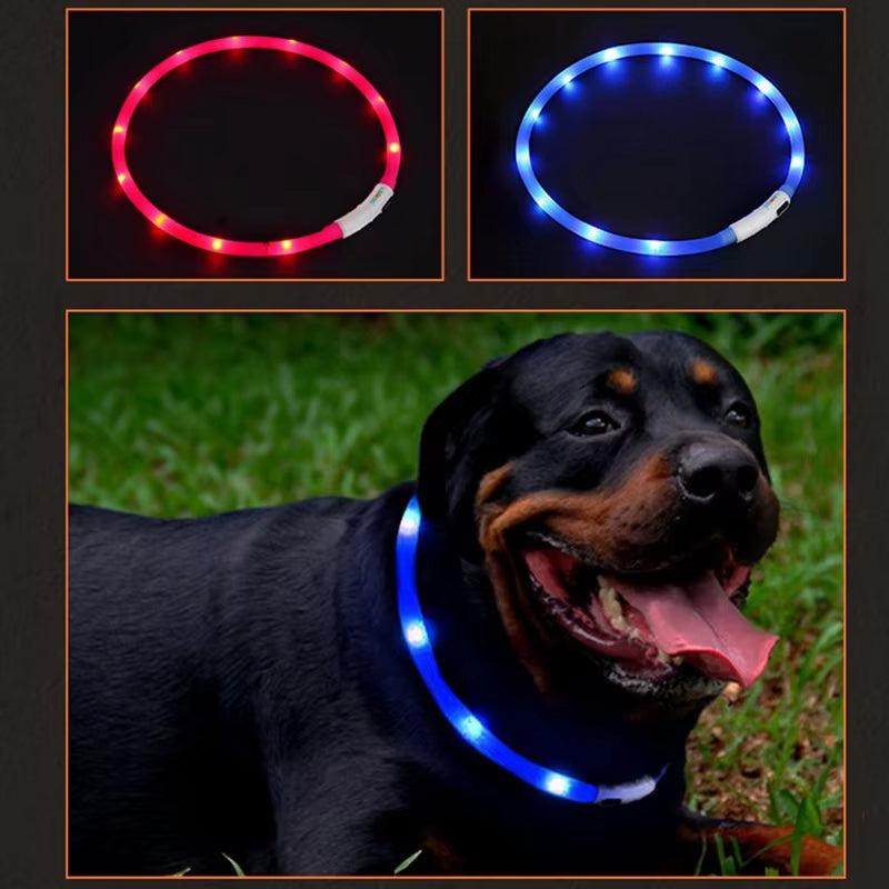 LED Dog Collar - USB Rechargeable, Adjustable Night Safety Flashing Light Necklace