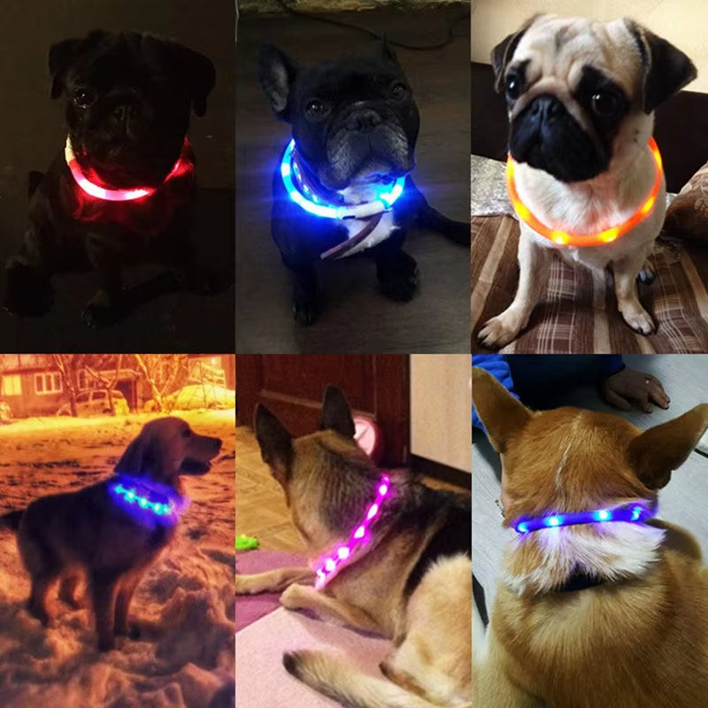 LED Dog Collar - USB Rechargeable, Adjustable Night Safety Flashing Light Necklace